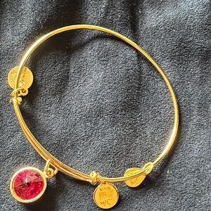 Alex and Ani Gold Expandable Bangle with Bright Red Crystal Charm